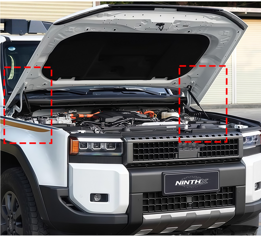 Carbon steel build hood lift gas struts